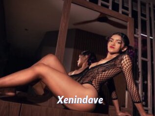 Xenindave