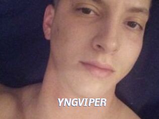 YNGVIPER