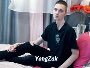 YangZak Sexe amateur contributions