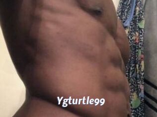 Ygturtle99
