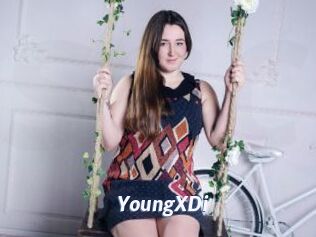 YoungXDi
