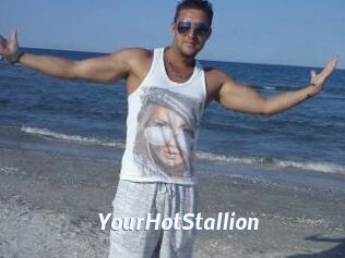 YourHotStallion