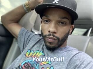 YourMrBull