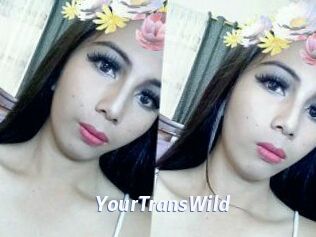 YourTransWild