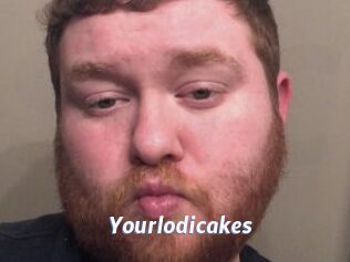 Yourlodicakes
