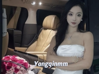 Yangqinmm