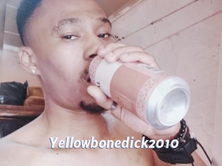 Yellowbonedick2010