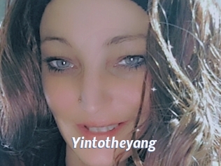 Yintotheyang