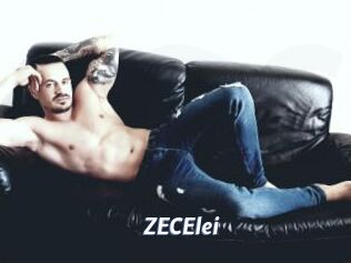 ZECElei