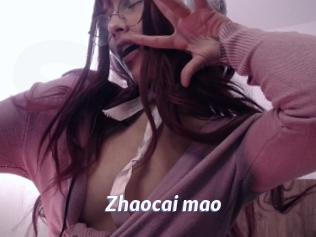 Zhaocai_mao